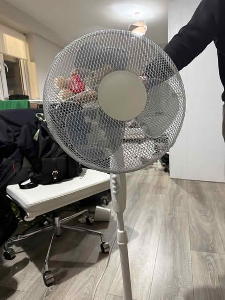 Photo of free Fan (Borehamwood) #1