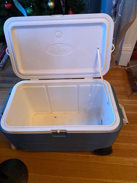 Photo of free Igloo cooler (Lowell and highland) #1