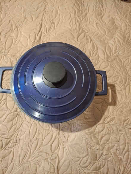 Photo of free Dutch oven/stew pot (West Malvern CP WR14) #1
