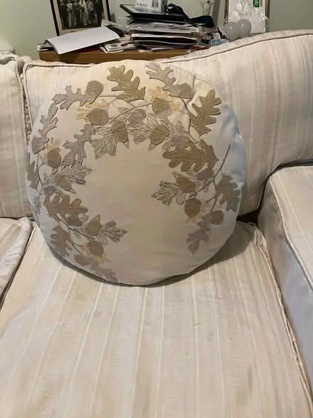 Photo of free Round cushion (Taunton TA1) #2