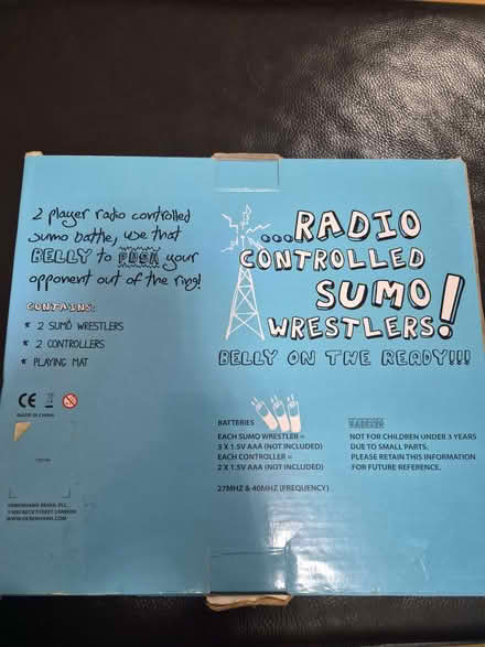 Photo of free Remote control sumo Wrestlers (Burwell OX28) #2