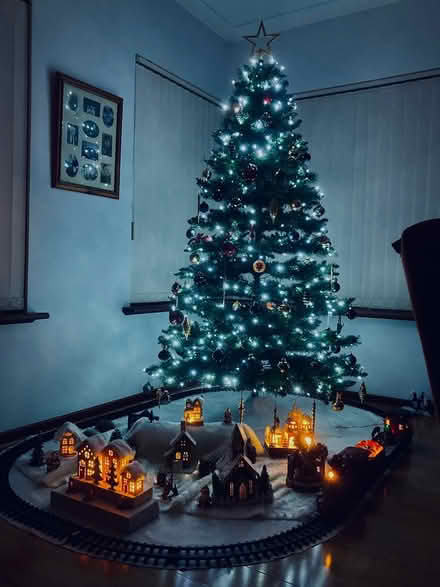 Photo of free Jasamin Christmas Tree 7 Ft (Palmyra WA 6157) #2