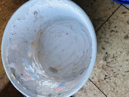 Photo of free Terrain filler (By Oakleigh Park station EN4) #2