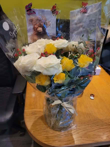 Photo of vacuum and bed (Pellon HX1) #3