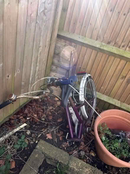 Photo of free 3 Bicycles (BN3) #3