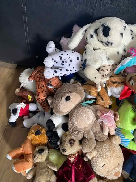 Photo of free Teddy Bundle Large 50+ Teddys (Horndon SS17) #4