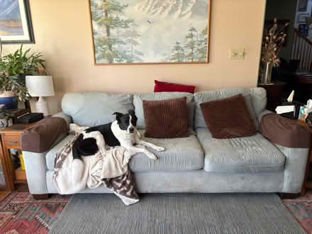 Photo of free couch (Mountain View Varsity Park) #1