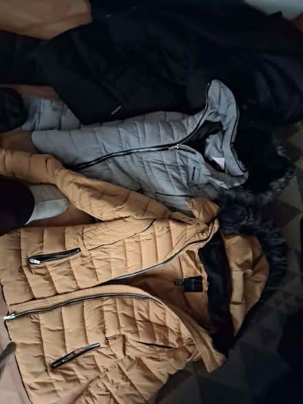 Photo of free Various women's coats new look mckenzie (Bulwell NG6) #2