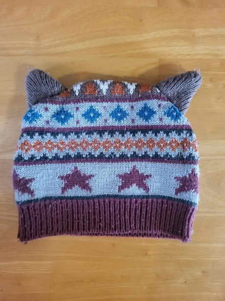 Photo of free Racoon hat 3-6 years (Ballyclare BT39) #2