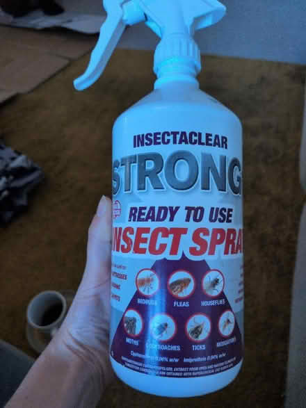 Photo of free Insecticide spray (Crouch End N8) #1