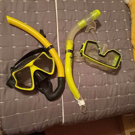 Photo of free 2 Snorkels with masks (Charminster BH8) #1