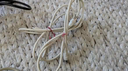 Photo of free Various old cords (Hayward Downtown) #3