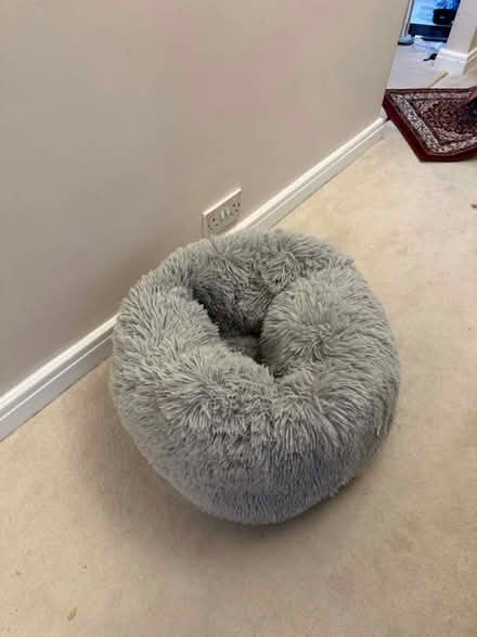 Photo of free Cat bed (Hammersmith W6) #1