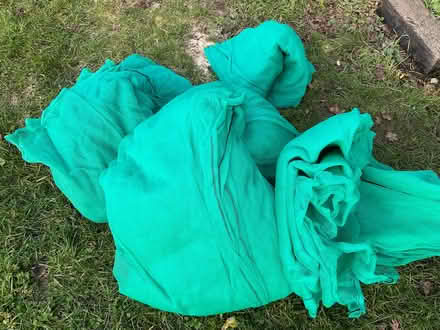 Photo of free Debris netting, ideal for crop protection (Great Fransham NR19) #4