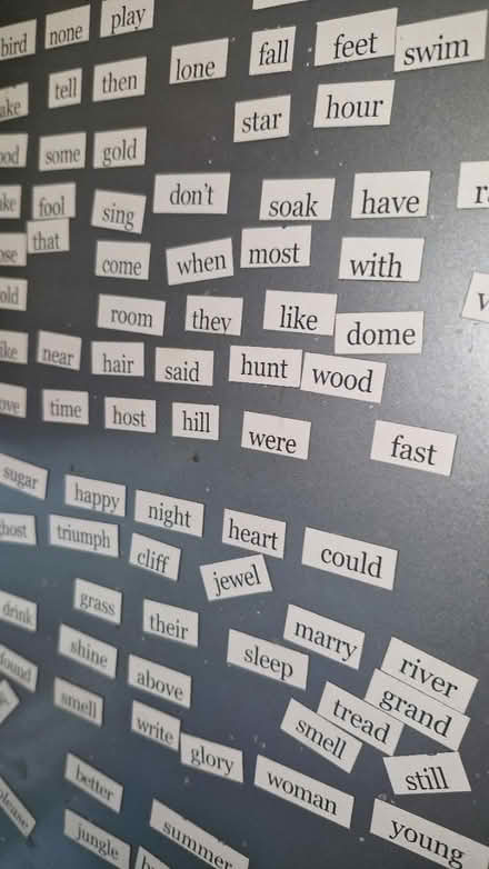 Photo of free Fridge magnet (Lambeth SW8) #2