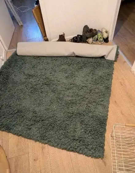 Photo of free green rug 5ft by 7ft (Moor Allerton LS17) #1