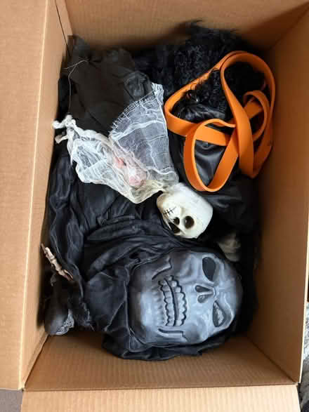 Photo of free Halloween decorations (Wa27qb) #3