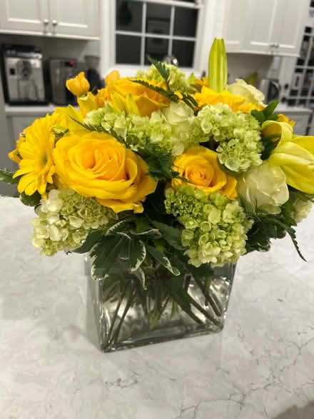 Photo of free XL vase - square (Kentlands in Gaithersburg) #2