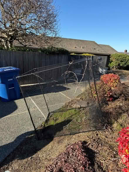 Photo of free Cage for berry bushes (Mercer Island) #1