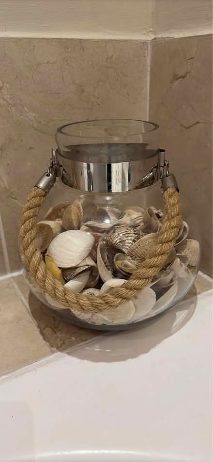 Photo of free Vase of shells (Limpley stoke BA2) #2