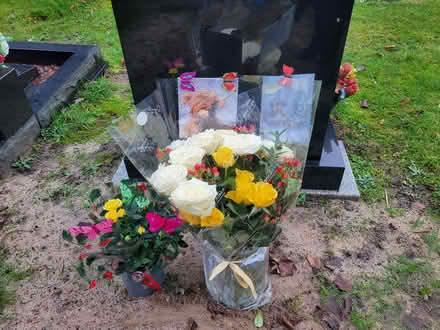 Photo of vacuum and bed (Pellon HX1) #2