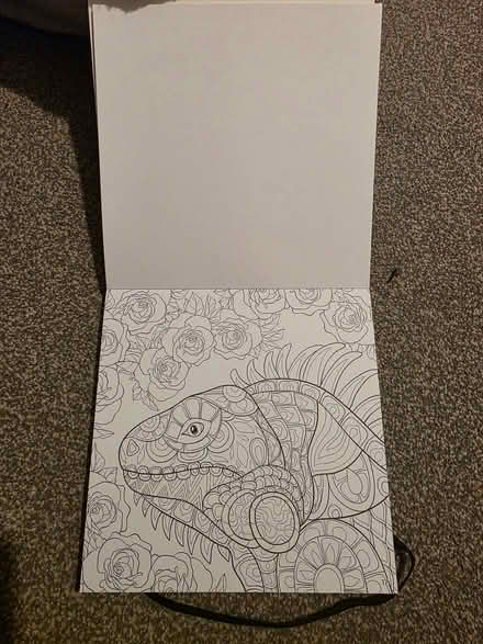 Photo of free Fine colouring book (Seacroft LS14) #1