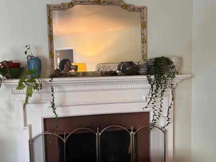 Photo of free House plants (San Francisco and Daly City) #2