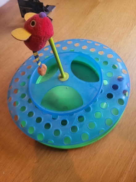 Photo of free Cat toy (Prenton CH43) #1