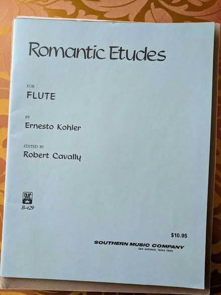 Photo of free flute music (Durham, west side) #3