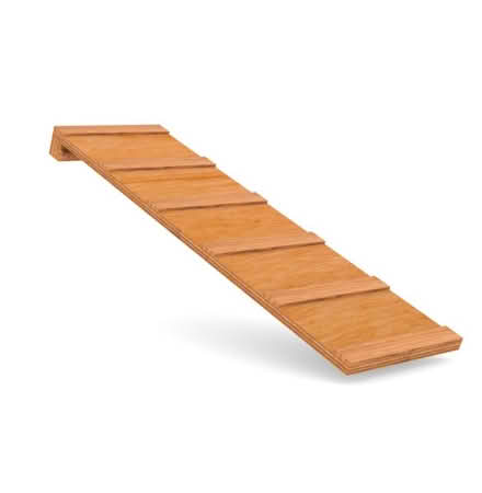 Photo of Dog Ramp (Haringey N15 3) #1