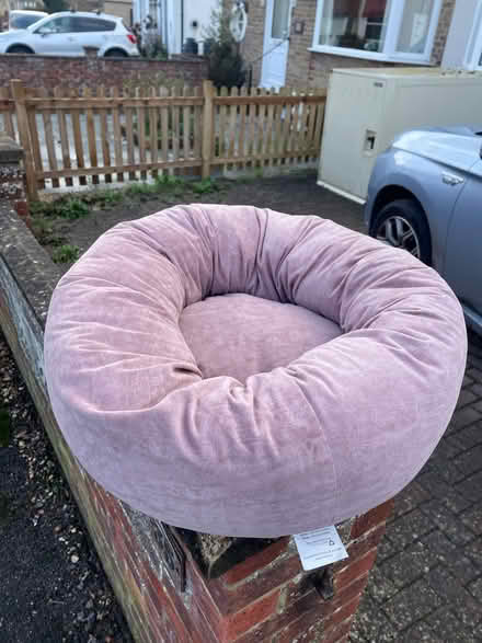 Photo of free Car or small dog bed (Caversham RG4) #1