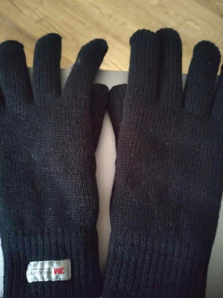 Photo of free Ladies thinsulate gloves (gu22 0hg) #1
