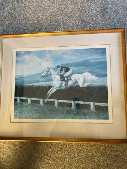 Photo of free Desert Orchid Gold framed picture (Dormansland RH7) #1
