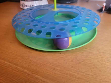 Photo of free Cat toy (Prenton CH43) #2