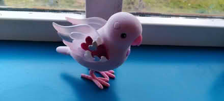 Photo of free Toy 'pet' bird (Kennington OX1) #1