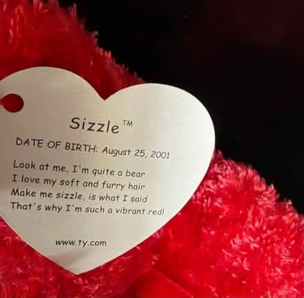 Photo of free TY Bear (Westbury BA13) #2