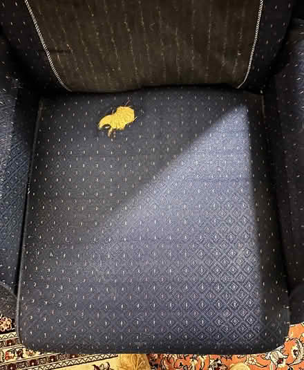 Photo of free Wingback recliner chair by La-Z-Boy (Arlington Center) #4