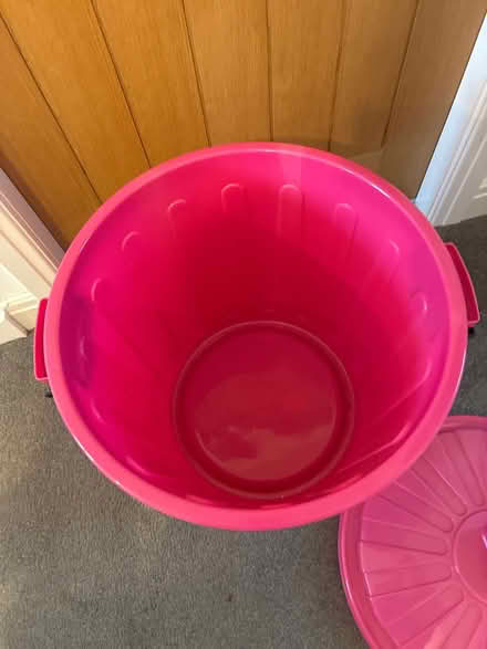 Photo of free Large pink storage bin (PR4 2FH) #2