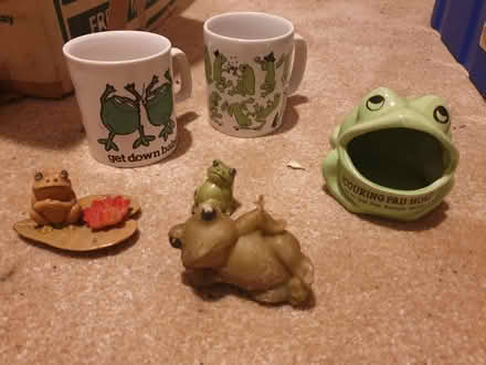 Photo of free Frog Related Items (Trowbridge BA14) #1