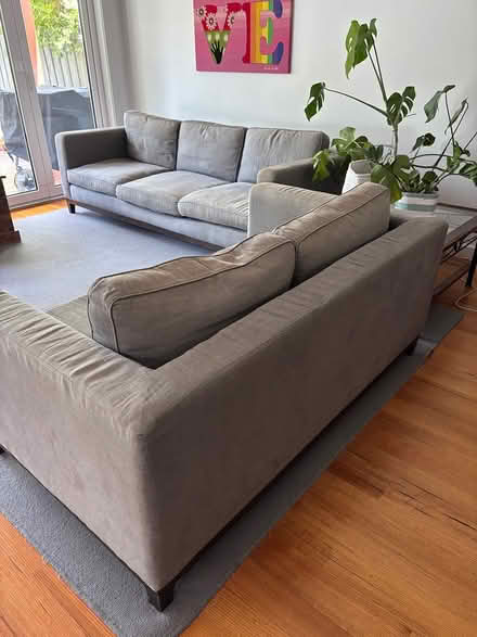 Photo of free Jardin couches (3 & 2 seater) (Malvern east) #3