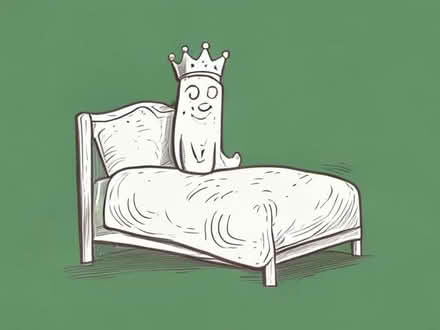 Photo of King size single bed (Fratton PO1) #1