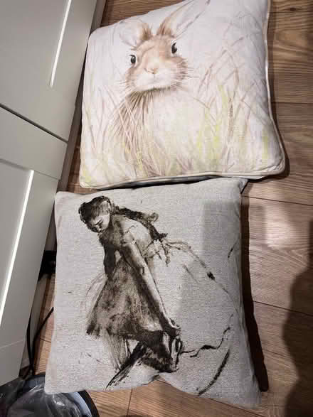 Photo of free 2 cushions (Hale End IG8) #1