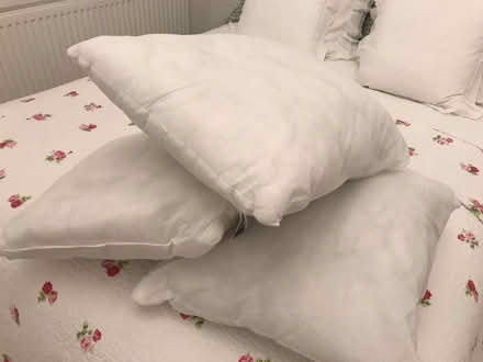 Photo of free Cushion insets (Weston) #1