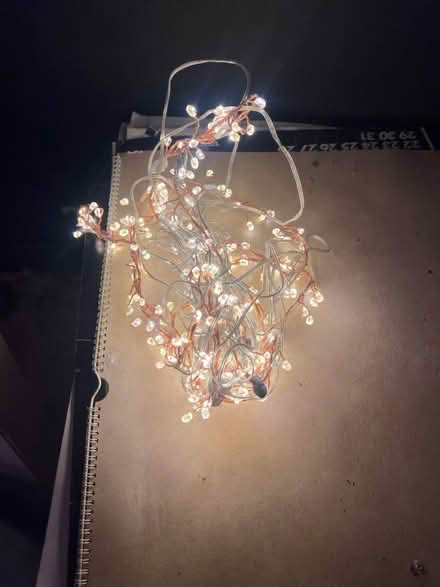 Photo of free Length of Decorative Lighting (Lambs Green RH12) #2