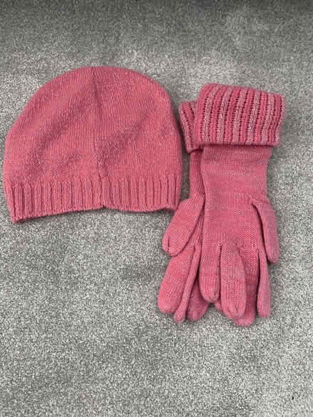 Photo of free Girls hat and gloves set (Emsworth PO10) #1