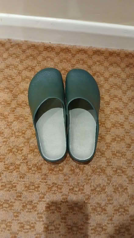 Photo of free Garden Clogs Size 43/44 (Lexden CO3) #1