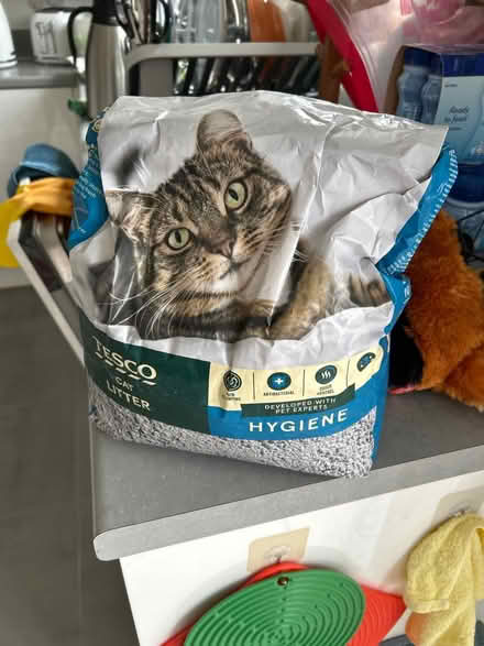 Photo of free Cat litter (Kingsmere, Bicester, OX26) #1