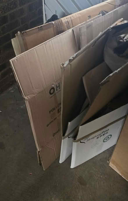 Photo of free Moving boxes (Rg301jx) #1