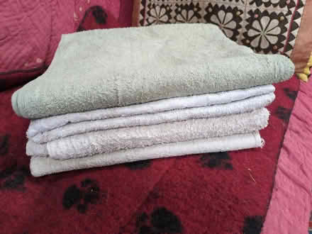 Photo of free Five clean dog towels (Halton LA2) #1