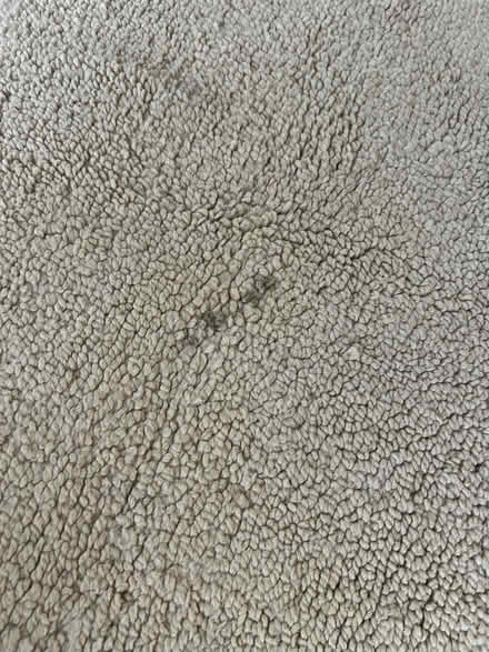 Photo of free Cream wool rug (Whitechapel E1) #3